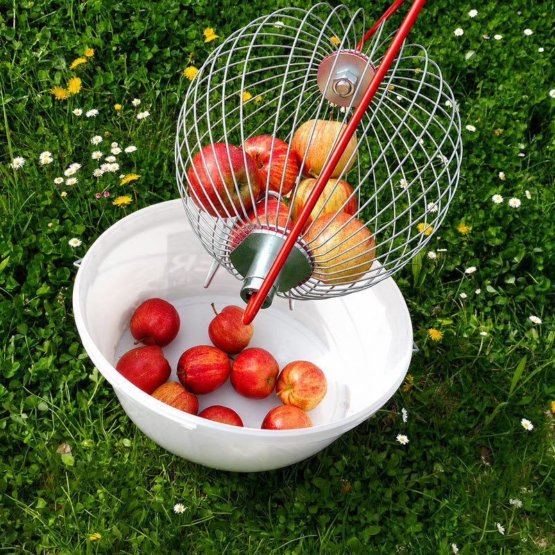Rollblitz Rolling Apple Collector - Made in Germany